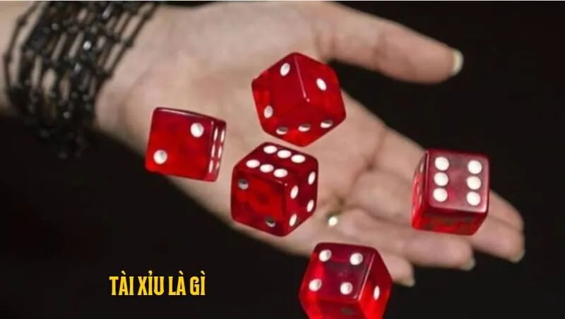 Hướng dẫn chơi tài xỉu từ cơ bản đến mẹo nâng cao, đánh đâu thắng đó