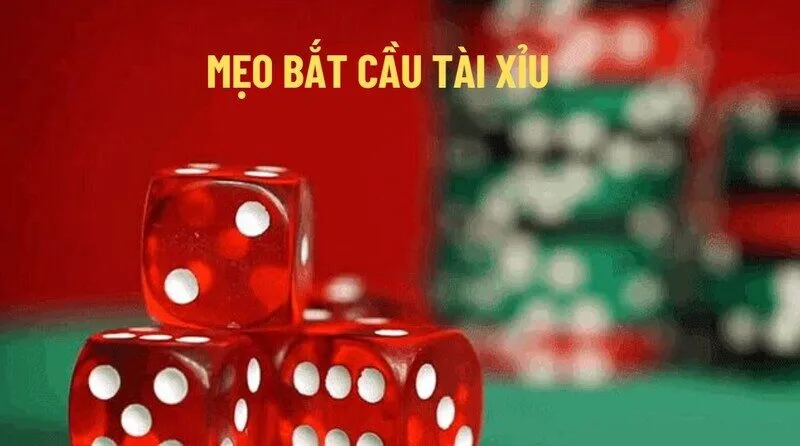 Các mẹo khi bắt cầu Tài Xỉu cần ghi nhớ